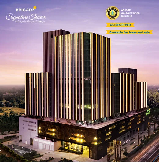 Commercial The Gold Standard Zone for Global Businesses