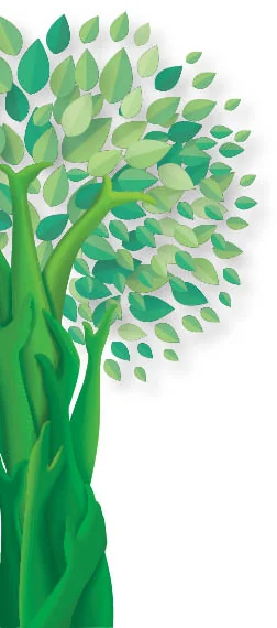 Green Bengaluru Initiatives