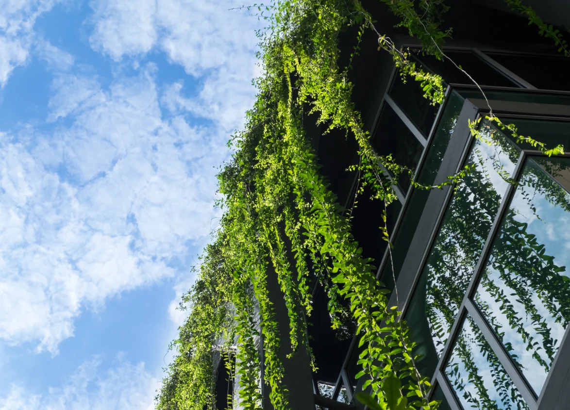 Why Sustainability Matters for Clubs and Convention Centers: Building a Greener Future