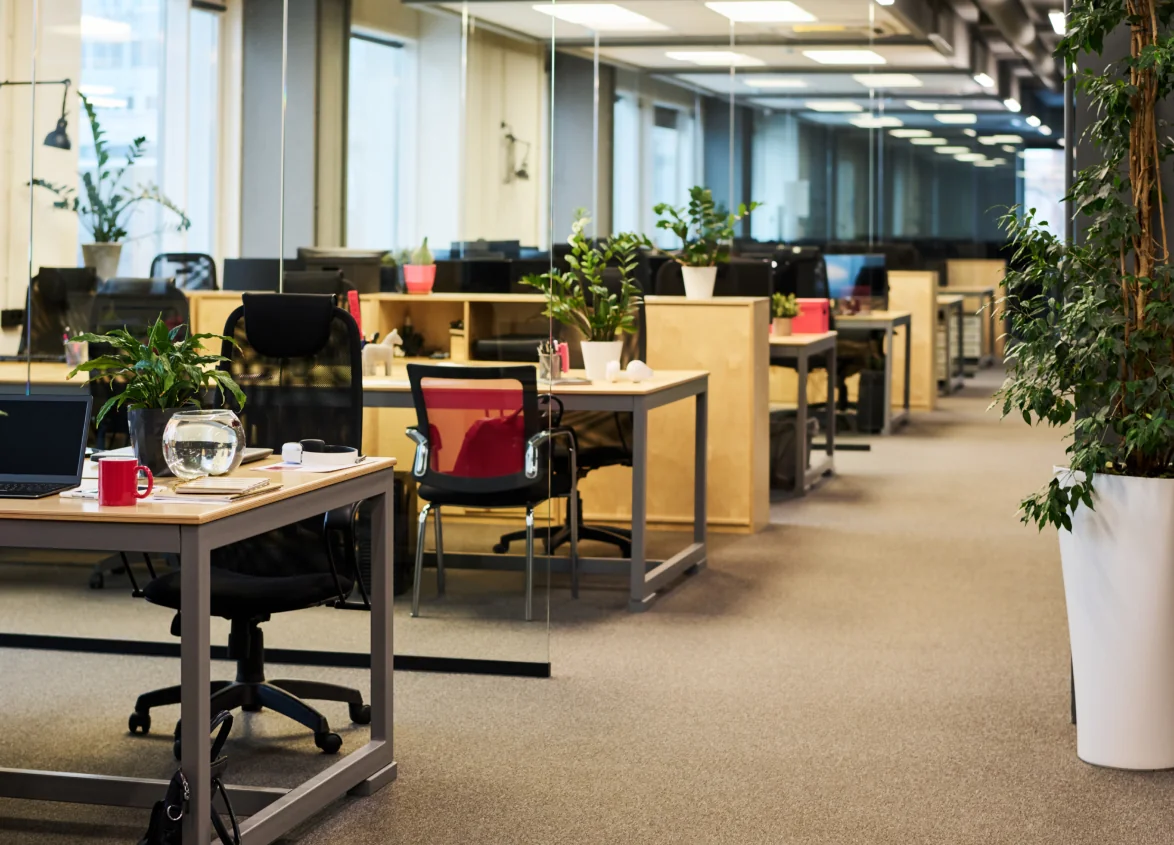 Biophilic Office Design – Why Nature-Inspired Workspaces Matter